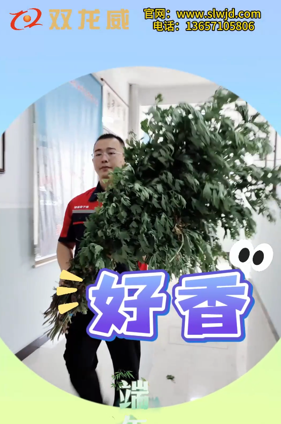 微信图片_20240629150148.png